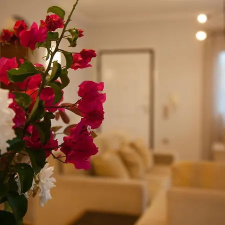 Areti Villa Dhorizáta